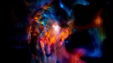 unknown model description needed