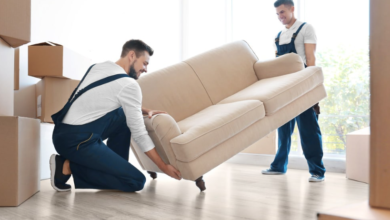 The Complete Guide to Furniture Removalists in Sunshine Coast
